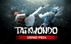 دانلود بازی آنلاین Taekwondo Grand Prix