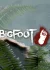 بازی BIGFOOT کرک آنلاین کامپیوتر