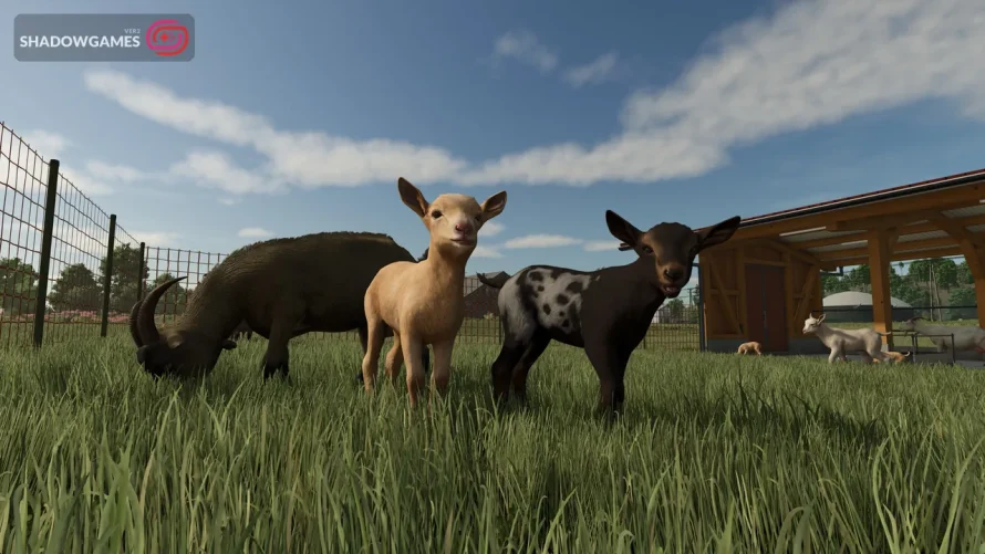 دو بزغاله و یک بز شاخدار در چراگاه حصاردار در بازی Farming Simulator 25