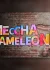 بازی MECCHA CHAMELEON کرک آنلاین کامپیوتر