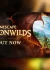 بازی RuneScape: Dragonwilds کرک آنلاین کامپیوتر