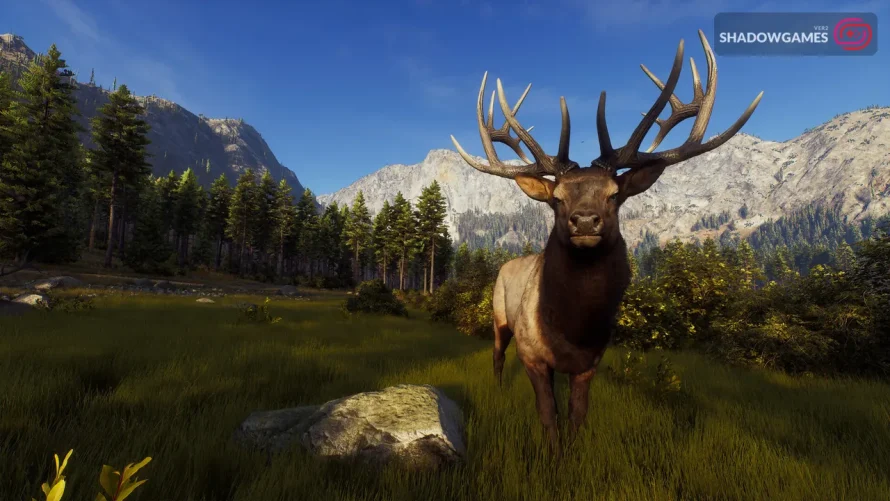 گوزن نر با شاخ های بزرگ در چمنزار کوهستانی در بازی آنلاین Way of the Hunter