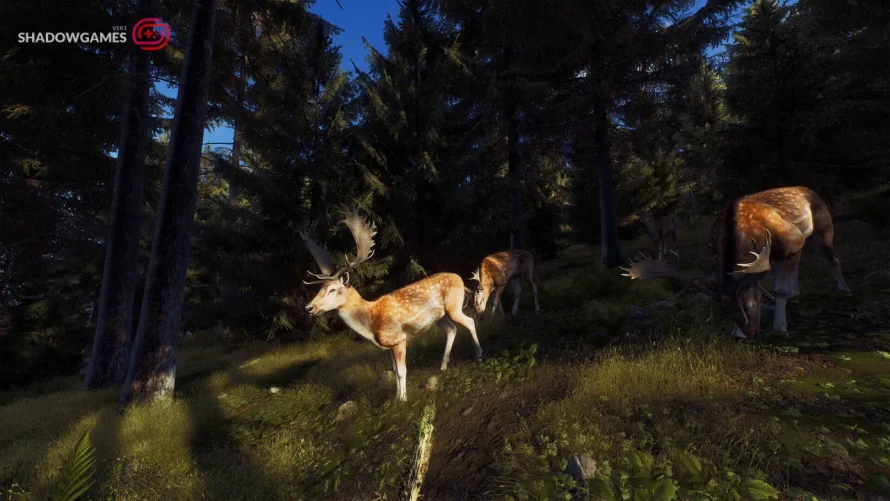 گوزن های خال دار در حال چرا میان درختان جنگل در بازی Way of the Hunter