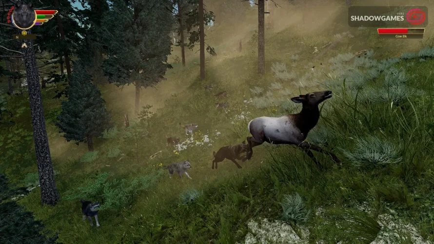 گرگ ها در حال تعقیب الک ماده در جنگل کاج در بازی WolfQuest: Anniversary Edition